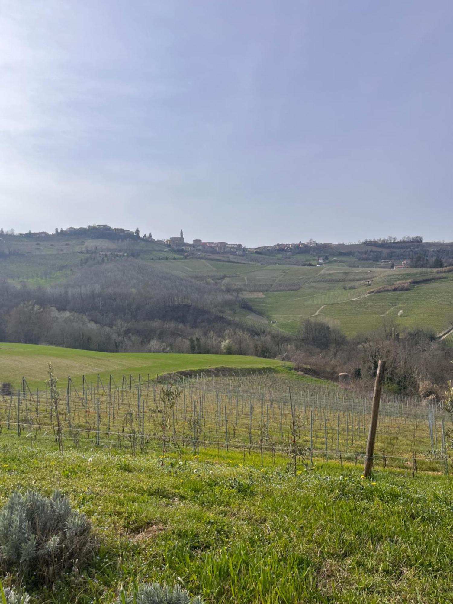 Le Cornici - Cascina Di Charme Hotell Diano dʼAlba Eksteriør bilde